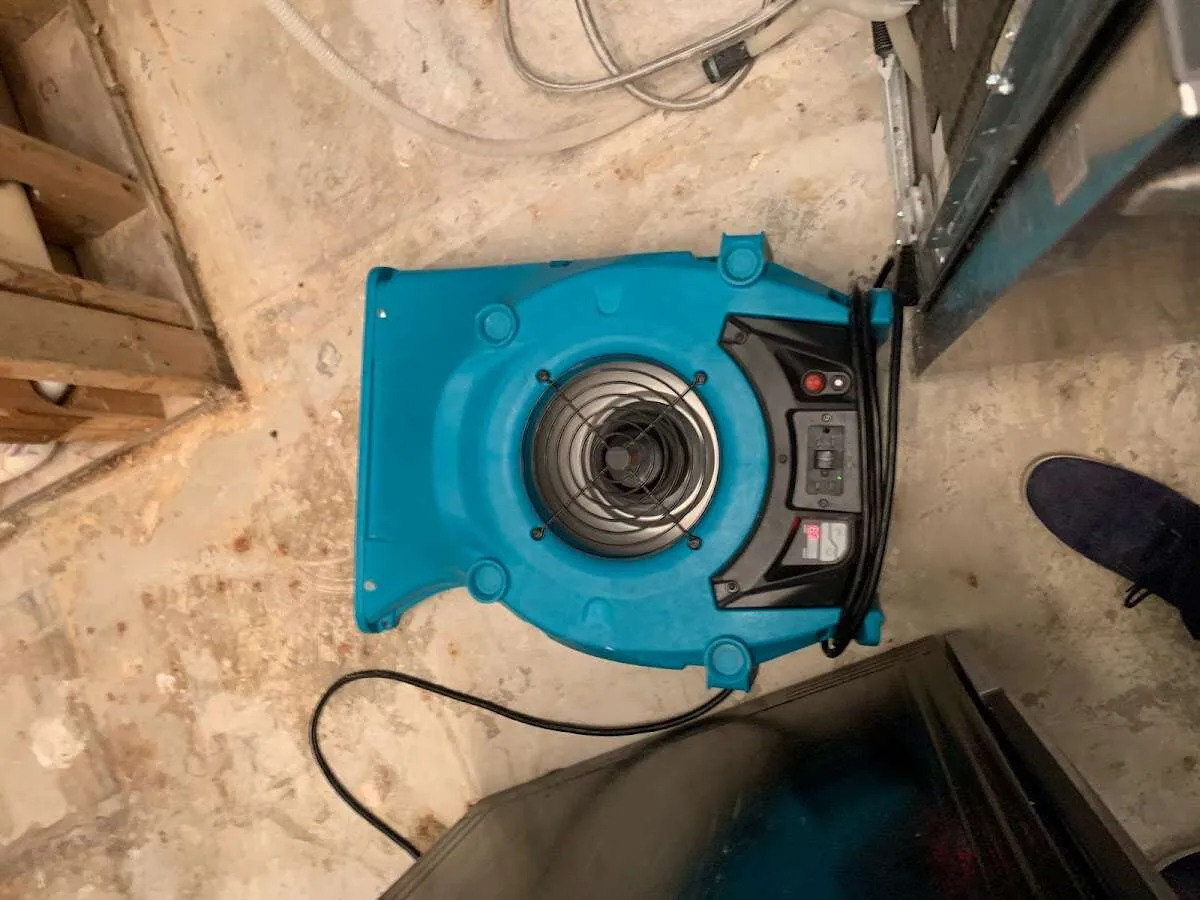 Air mover drying equipment for Mold Remediation & Removal in North Weeki Wachee